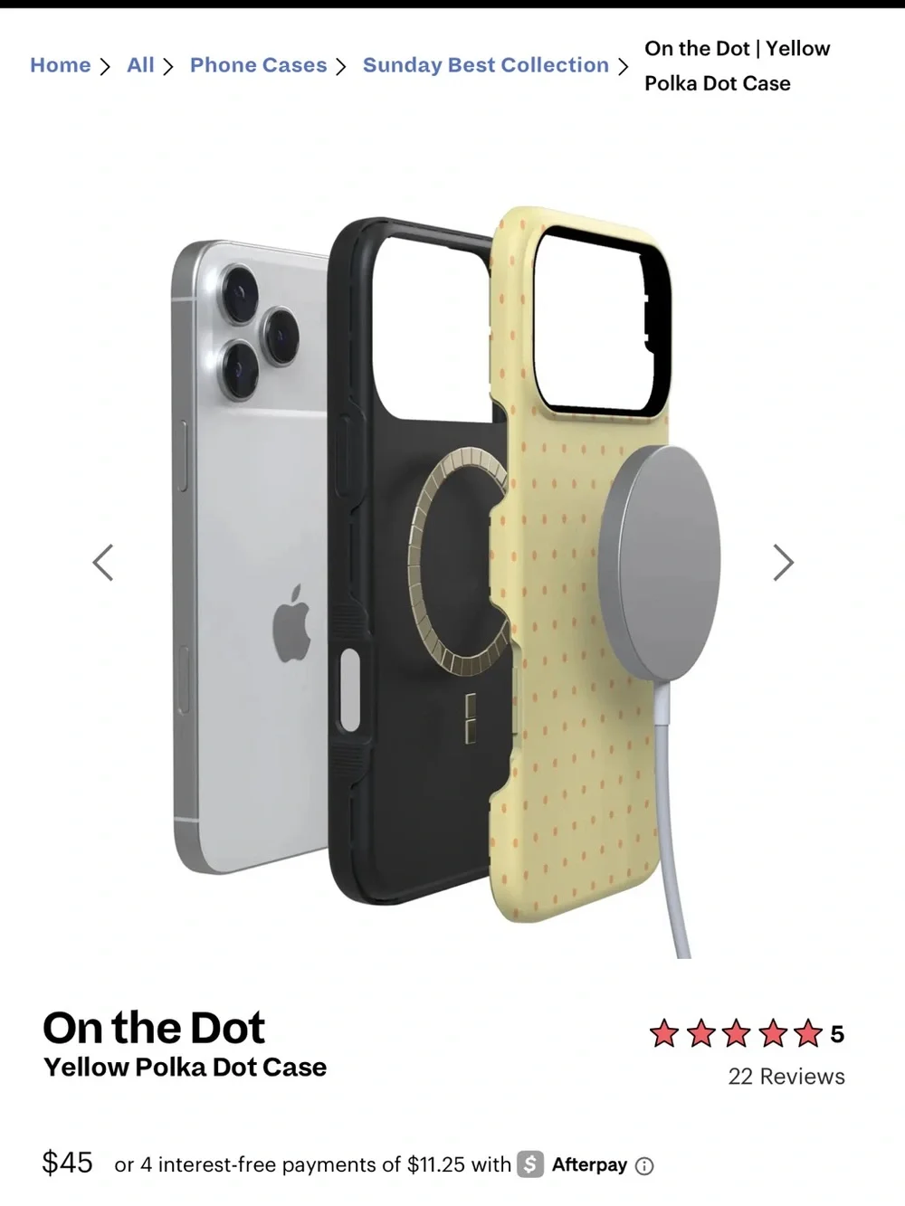 Casely - on the dot case